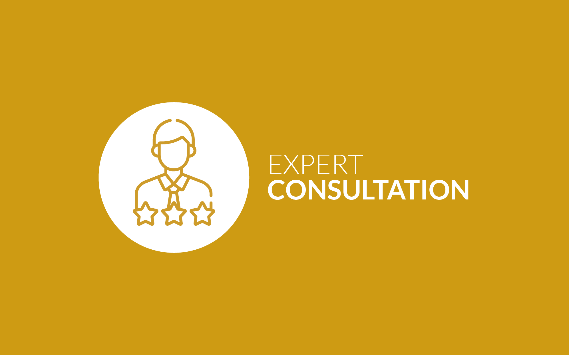 Consultation with experts