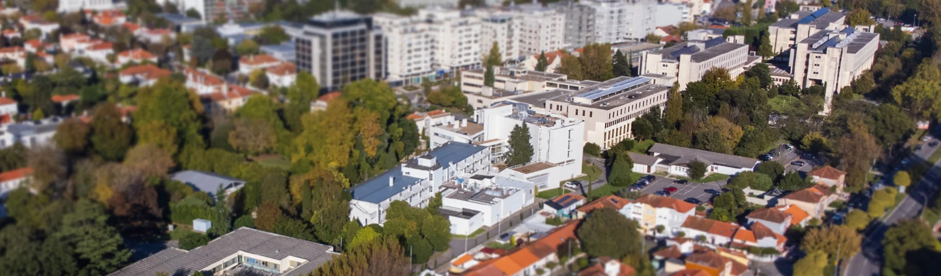 Aerial view of the campus of the Faculty of Sciences of the University of Porto, in Campo Alegre