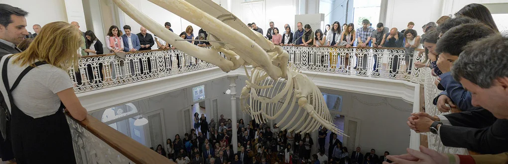 Interior da Galeria da Biodiversidade com o esqueleto de baleia em foco e bastantes pessoas espalhadas pelo primeiro e segundo pisos