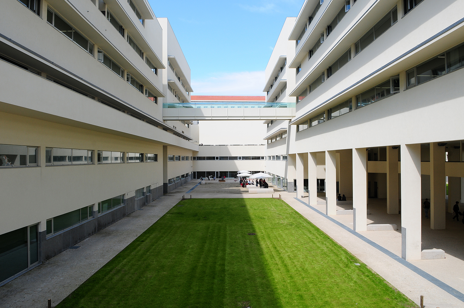ICBAS / Faculty of Pharmacy